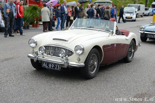 DSC_6255.jpg